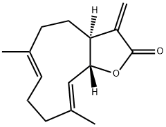 ľ