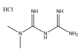 ˫